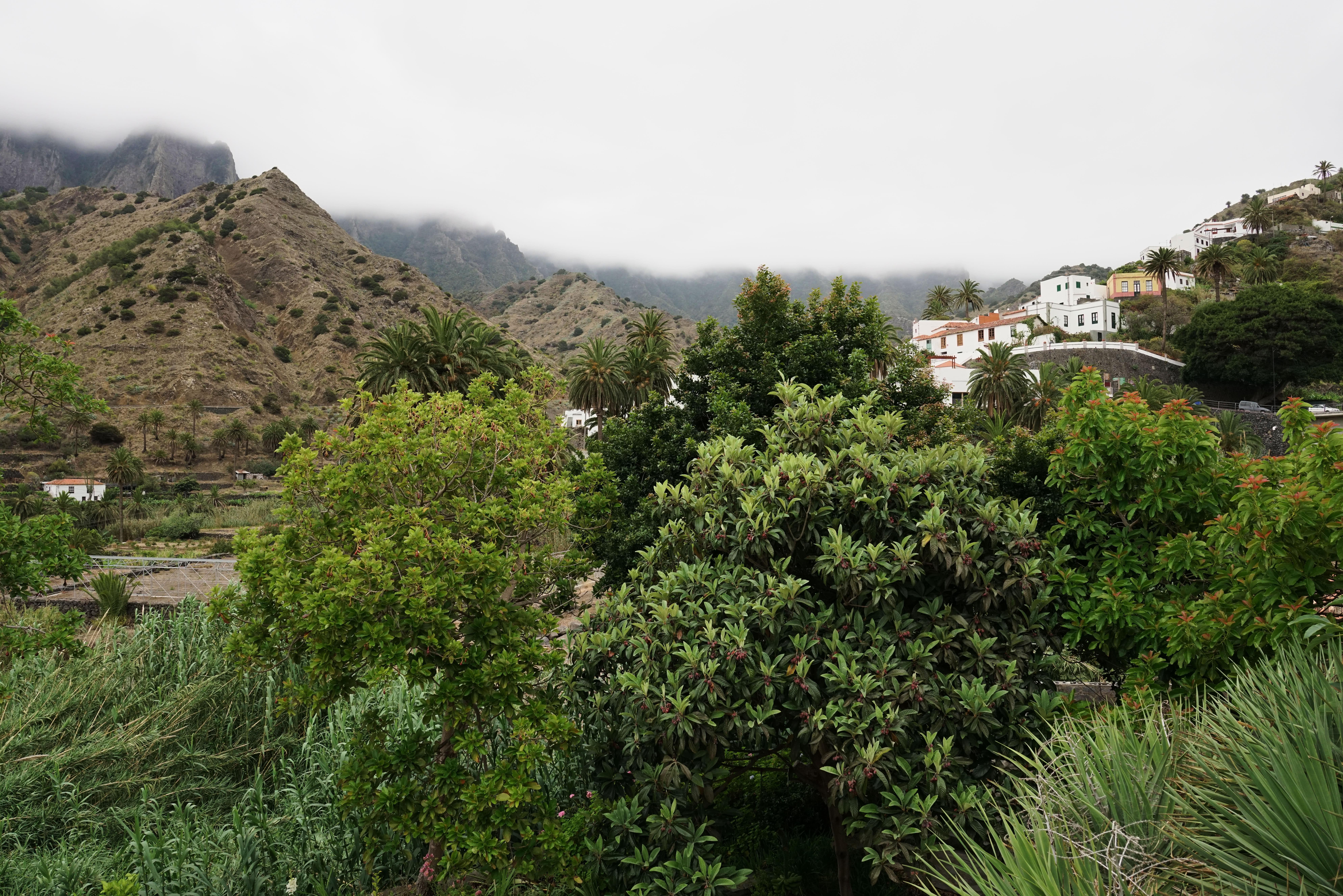 Finca Pinero Hermigua Bagian luar foto