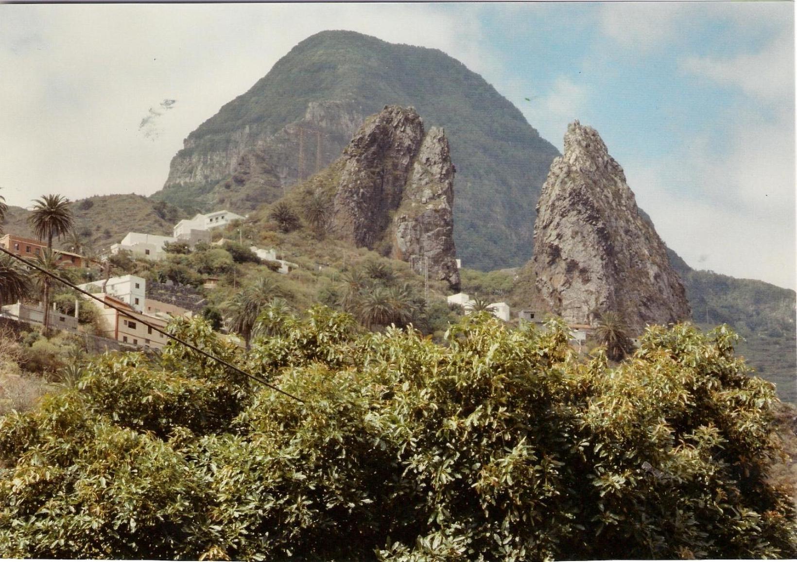 Finca Pinero Hermigua Bagian luar foto