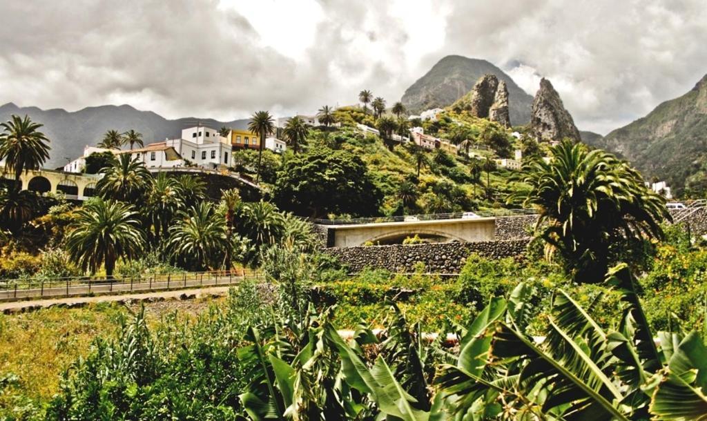 Finca Pinero Hermigua Bagian luar foto